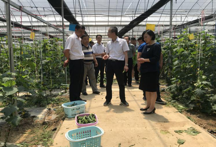 開(kāi)展支部共建 實(shí)施消費扶貧 助力王店振興 ——中電儀器第七黨支部以購代捐助扶貧